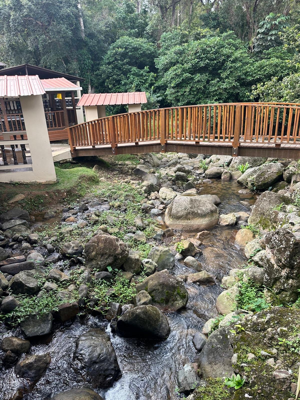 daf48688-9e81-4aa2-abc1-736c3ea34ca5